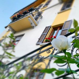 Apartament typu junior